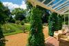 Charles Darwin%E2%80%99s Bedroom To Be Open To The Public %7C The Home Of Charles Darwin %7C Group Travel News