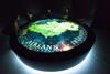 5 Of The Best Group Experiences In Ireland %7C Group Travel Ideas %7C The National Leprechaun Museum