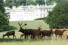 Woburn Abbey