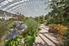Great Glasshouse