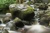 Dartmoor National Park waterfall