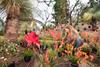 Mediterranean Biome
