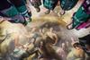 Painted Hall tour
