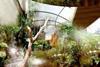 Tropical House at Marwell Zoo