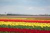 Eurostar%2C the Netherlands