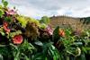 Chatsworth