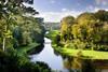 Fountains Abbey