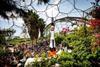 Eden Project