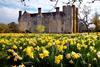 Hever Castle