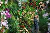 Jenny Forgie completing the orchid arches for Kew's Orchid Festival 2018. Credit%3A RBG Kew.