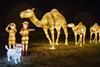 Longleat's Festival of Light in 2018 - A Fantastic Journey