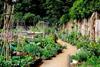 King Henry's Walk Garden