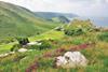 Exmoor