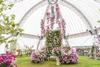 RHS 2019 calendar of events