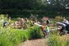 Knoll Gardens to host 25th anniversary events in 2019
