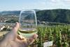 Culinary cruise with CroisiEurope