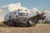 Dinosaurs in the Wild reveals a Triceratops with a Chronotex