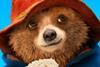 Paddington Bear