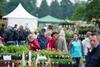 Blenheim Palace Flower Show