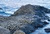 Giant's Causeway