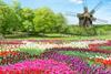 Keukenhof Gardens