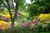 Leonardslee Gardens pond