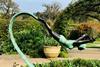 Mark Sean's Diva at RHS Wisley