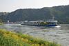 MS Arena on the Rhine