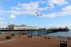 Brighton Pier