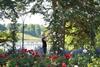 Blenheim Palace's Head of Gardens Hilary Wood