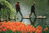 Keukenhof Gardens, Lisse, Netherlands
