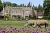 Cotswold Wildlife Park & Gardens