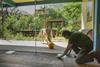 ZSL London Zoo prepares to reopen