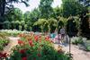 Blenheim Rose Garden
