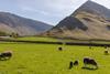 Buttermere, Cumbria