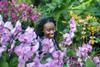 Kew Gardens' Orchid Festival