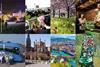 Generic images collage for layout use