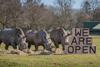 ZSL Whipsnade Zoo