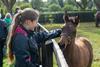 National Stud Tour