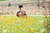 Superbloom at the Tower of London