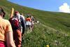 Herefordshire walking route