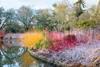 RHS Garden Wisley