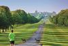 Windsor Great Park