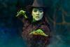 Wicked the Musical