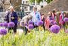 Superbloom at the Tower of London