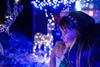Longleat's Festival of Light