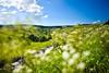 Durham Dales, County Durham