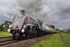 Sir Nigel Gresley steam train