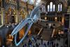 Natural History Museum, London
