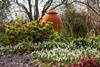 Snowdrops at Barnsdale Gardens in Rutland